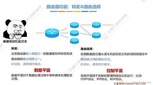 王道考研計算機網絡第四章知識點匯總 計算機網絡信息管理與服務