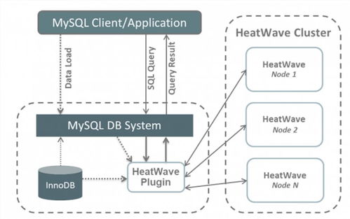 全面掌握甲骨文云OCI MySQL服務 從自動運維到高效管理