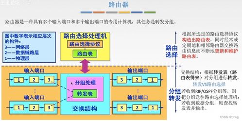 計算機網(wǎng)絡信息管理與服務在網(wǎng)絡層中的關鍵作用